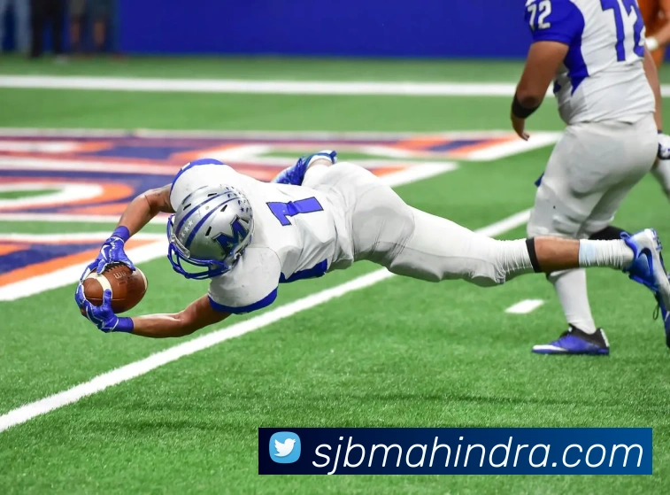 开云平台生态图